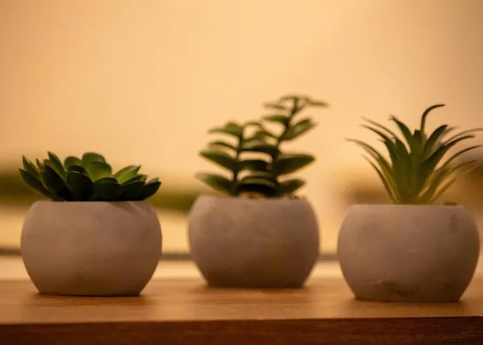 The Royal Palace Luxury By Sattal Apartament